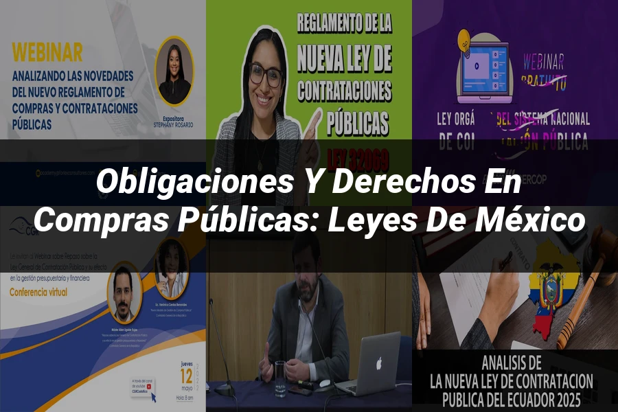 "Obligaciones y Derechos en Compras Públicas: Leyes de México"