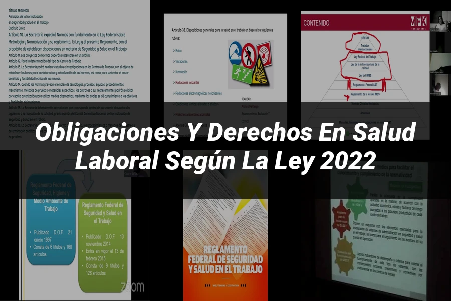 "Obligaciones y Derechos en Salud Laboral según la Ley 2022"
