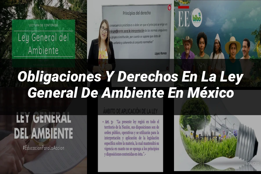 "Obligaciones y Derechos en la Ley General de Ambiente en México"