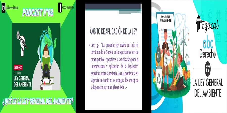 "Obligaciones y Derechos en la Ley General de Ambiente en México"