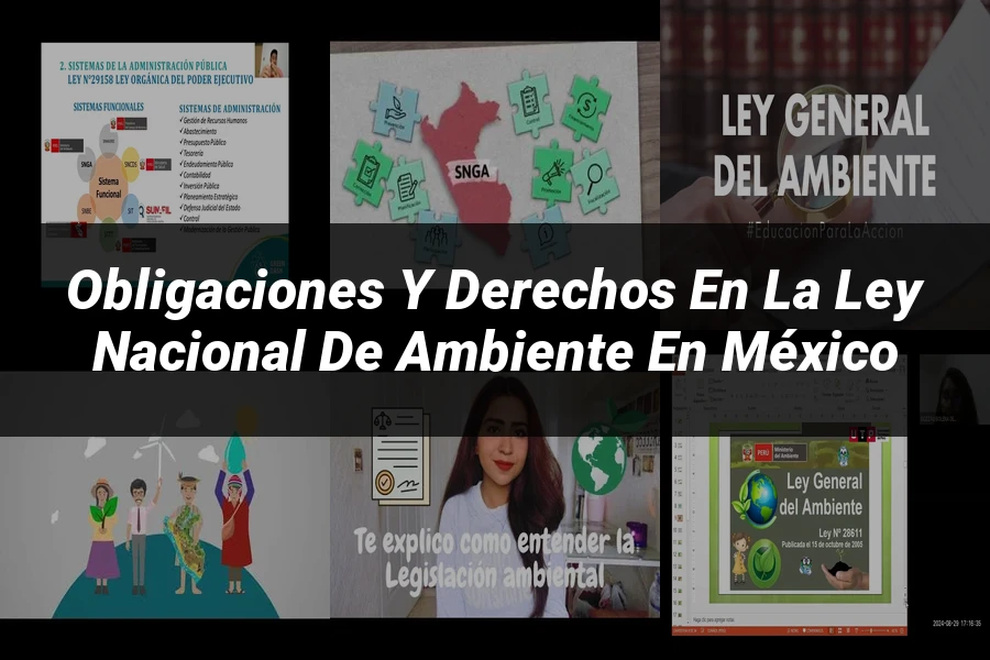 "Obligaciones y Derechos en la Ley Nacional de Ambiente en México"
