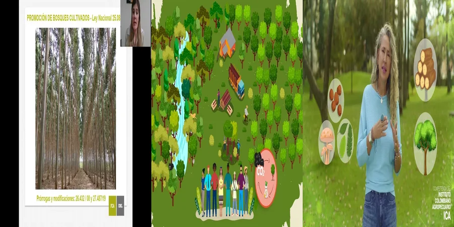 "Obligaciones y Derechos en la Normativa Forestal de México"