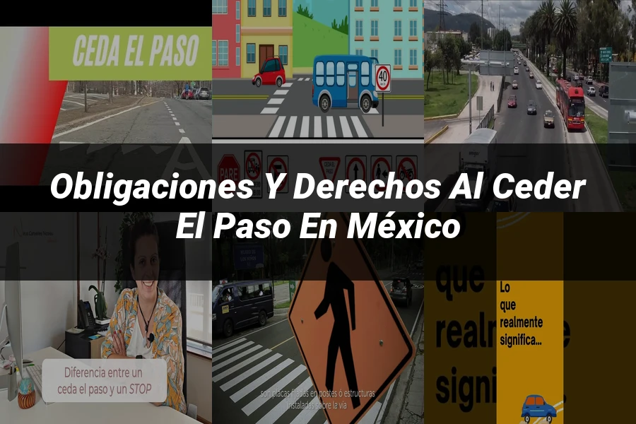 "Obligaciones y derechos al ceder el paso en México"