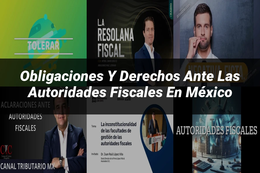 "Obligaciones y derechos ante las autoridades fiscales en México"