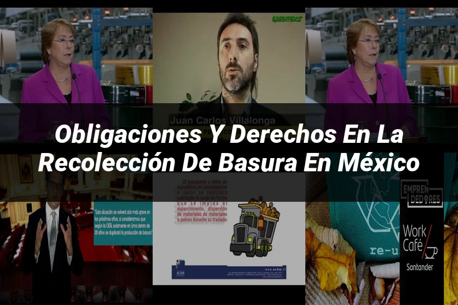 "Obligaciones y derechos en la recolección de basura en México"