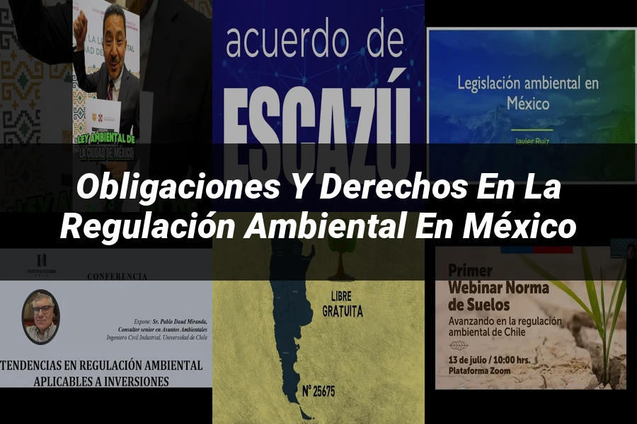 "Obligaciones y derechos en la regulación ambiental en México"