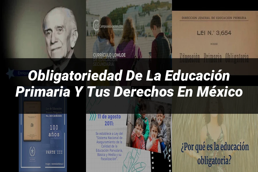 "Obligatoriedad de la educación primaria y tus derechos en México"