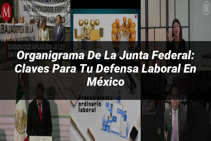 "Organigrama de la junta federal: claves para tu defensa laboral en México"