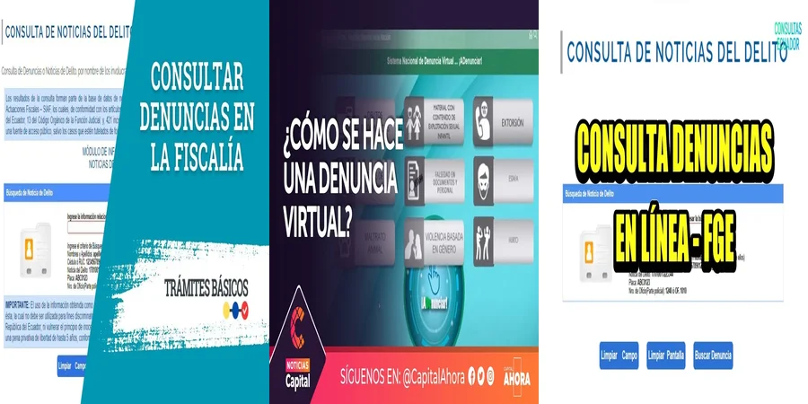 "Paso a Paso para Denunciar en la Fiscalía Virtual en México"