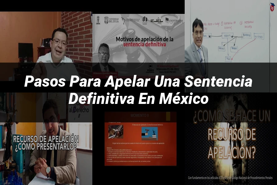 "Pasos para Apelar una Sentencia Definitiva en México"