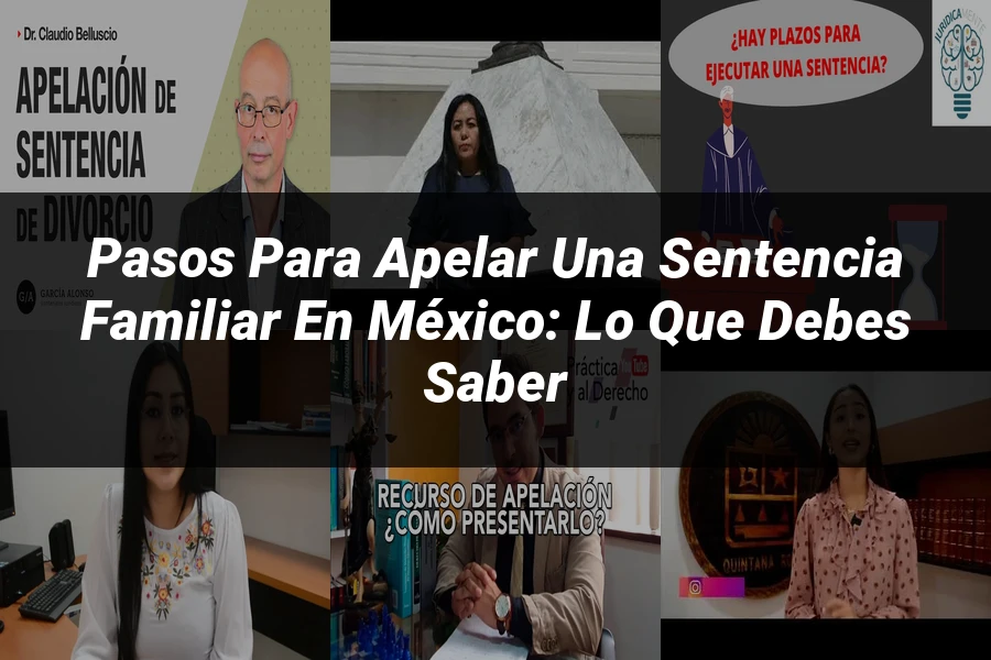 "Pasos para Apelar una Sentencia Familiar en México: Lo Que Debes Saber"