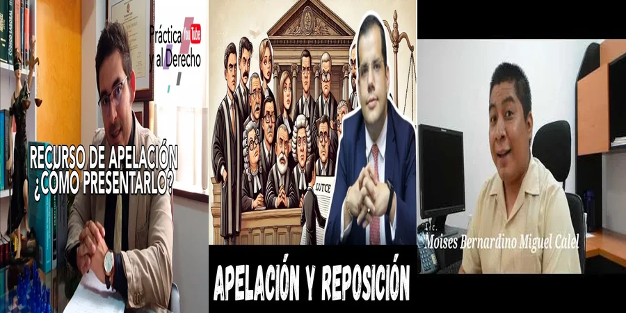 "Pasos para Apelar una Sentencia Familiar en México: Lo Que Debes Saber"