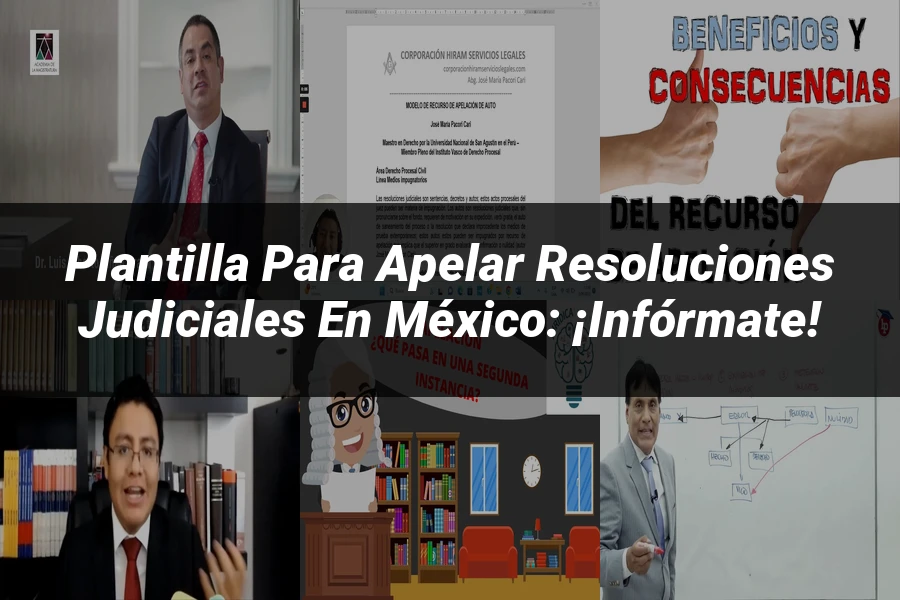 "Plantilla para Apelar Resoluciones Judiciales en México: ¡Infórmate!"