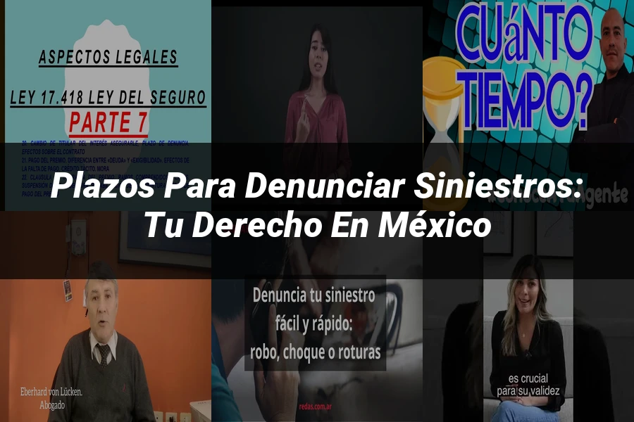 "Plazos para Denunciar Siniestros: Tu Derecho en México"