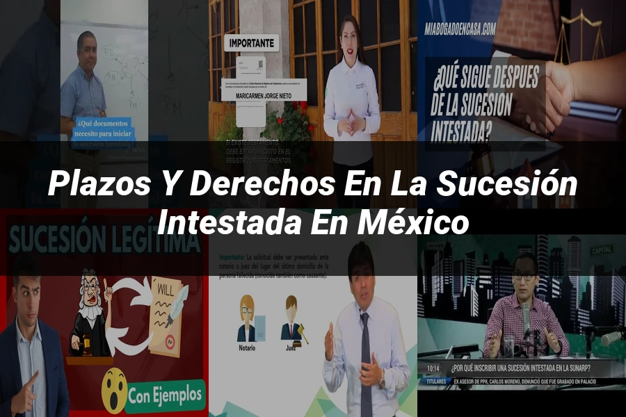 "Plazos y Derechos en la Sucesión Intestada en México"