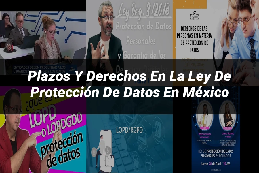 "Plazos y derechos en la ley de protección de datos en México"