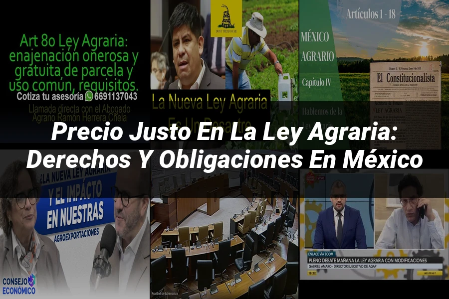 "Precio justo en la ley agraria: derechos y obligaciones en México"