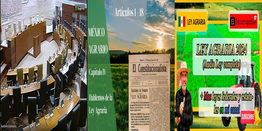 "Precio justo en la ley agraria: derechos y obligaciones en México"