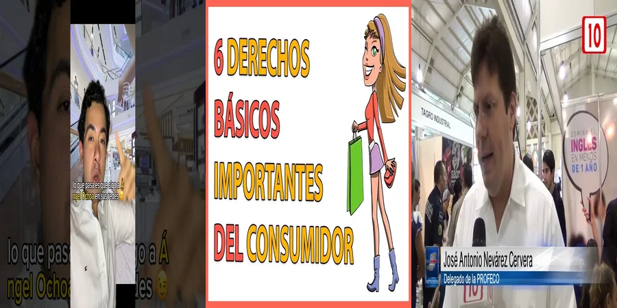 "Precios a la Vista: Derechos del Consumidor en México"