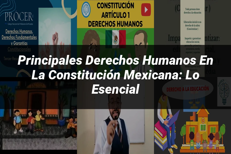 "Principales Derechos Humanos en la Constitución Mexicana: Lo Esencial"