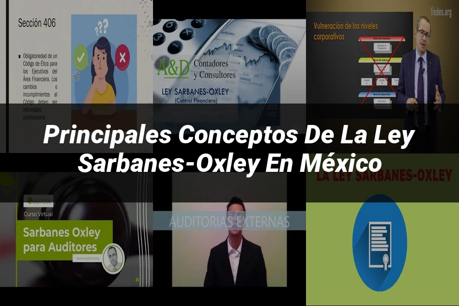 "Principales conceptos de la ley Sarbanes-Oxley en México"