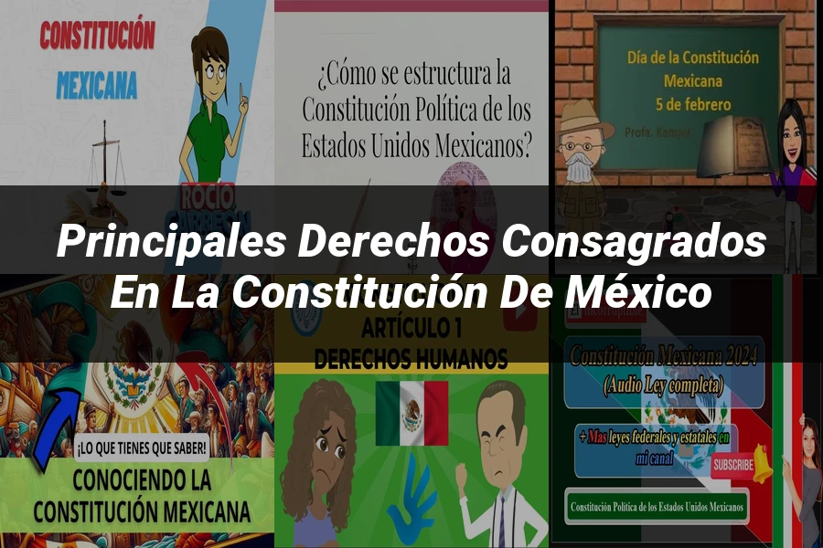 "Principales derechos consagrados en la Constitución de México"