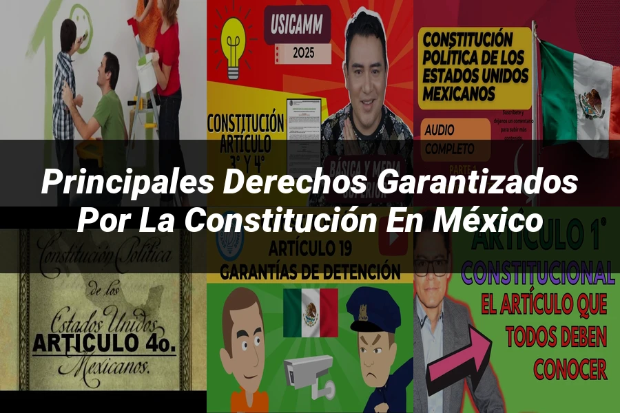 "Principales derechos garantizados por la Constitución en México"