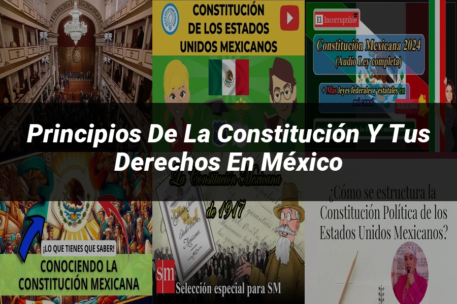 "Principios de la Constitución y tus Derechos en México"