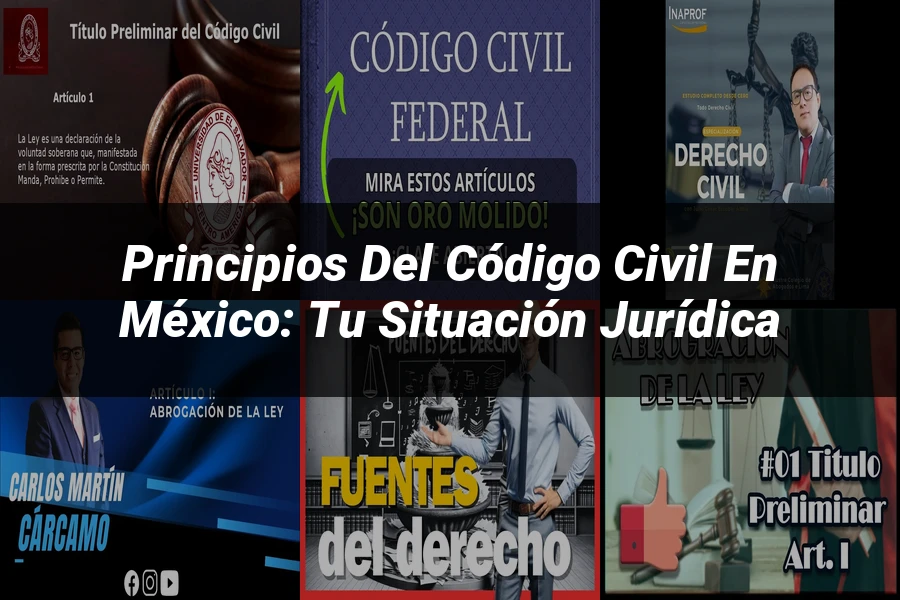 "Principios del Código Civil en México: Tu Situación Jurídica"