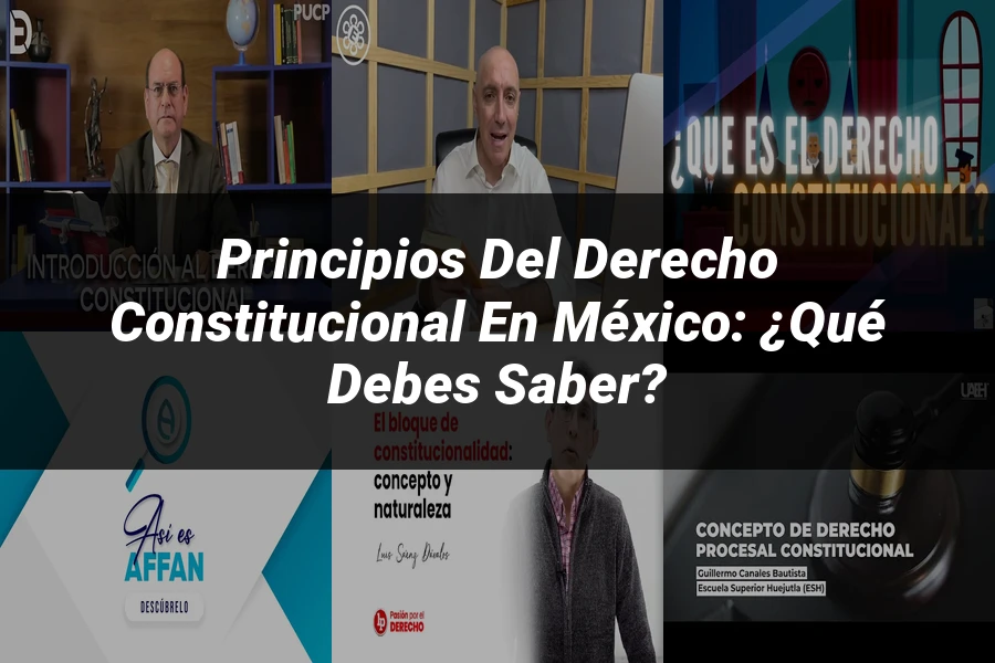 "Principios del Derecho Constitucional en México: ¿Qué Debes Saber?"