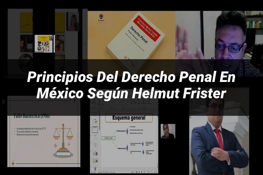 "Principios del Derecho Penal en México según Helmut Frister"