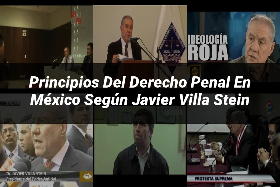 "Principios del Derecho Penal en México según Javier Villa Stein"