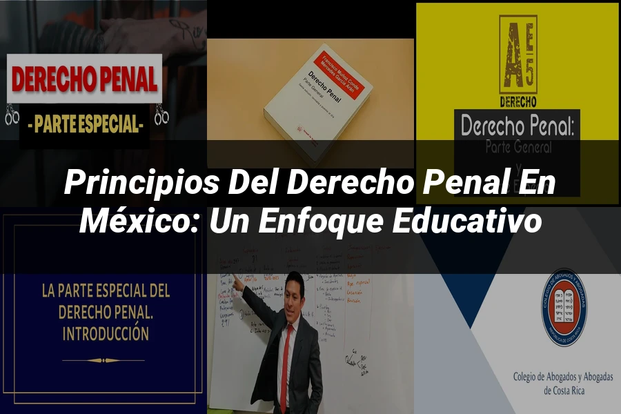 "Principios del Derecho Penal en México: Un Enfoque Educativo"
