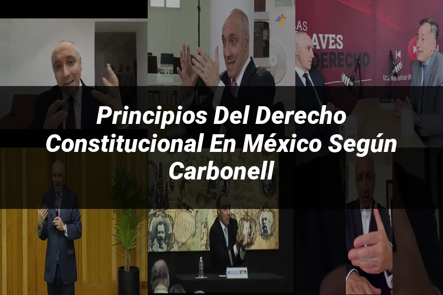 "Principios del derecho constitucional en México según Carbonell"