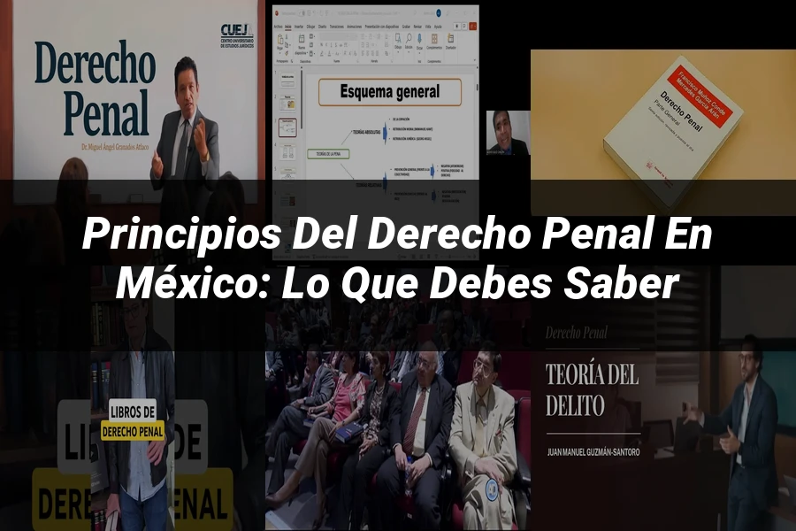 "Principios del derecho penal en México: lo que debes saber"