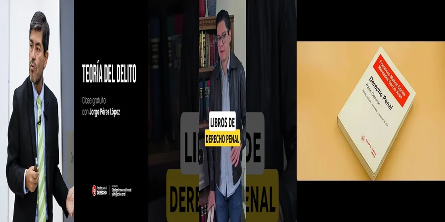 "Principios del derecho penal en México: lo que debes saber"