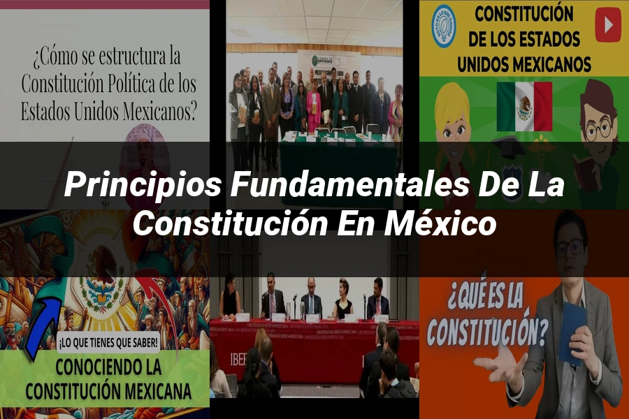 "Principios fundamentales de la Constitución en México"
