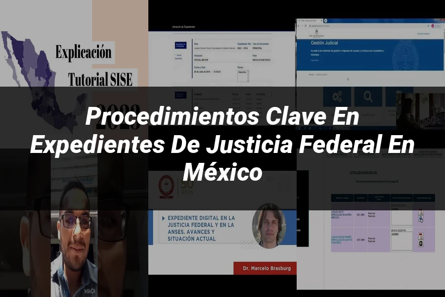 "Procedimientos Clave en Expedientes de Justicia Federal en México"