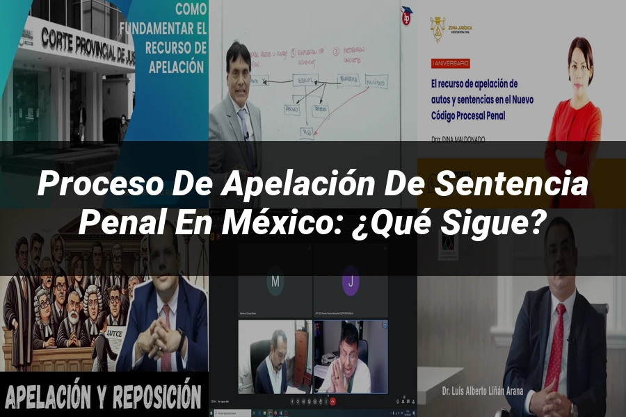 "Proceso de apelación de sentencia penal en México: ¿qué sigue?"