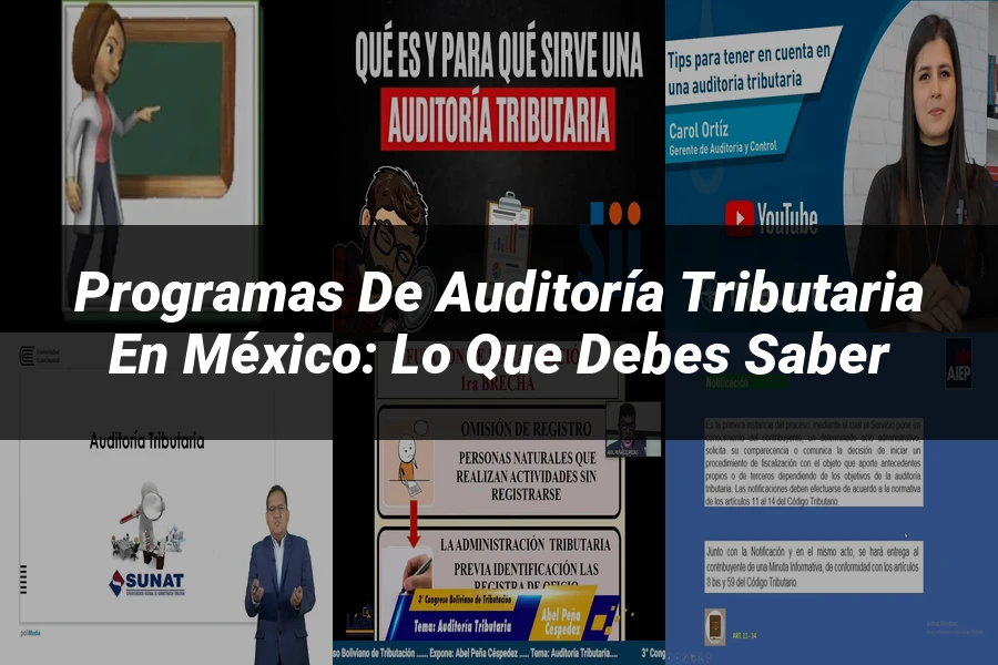 "Programas de Auditoría Tributaria en México: Lo que Debes Saber"