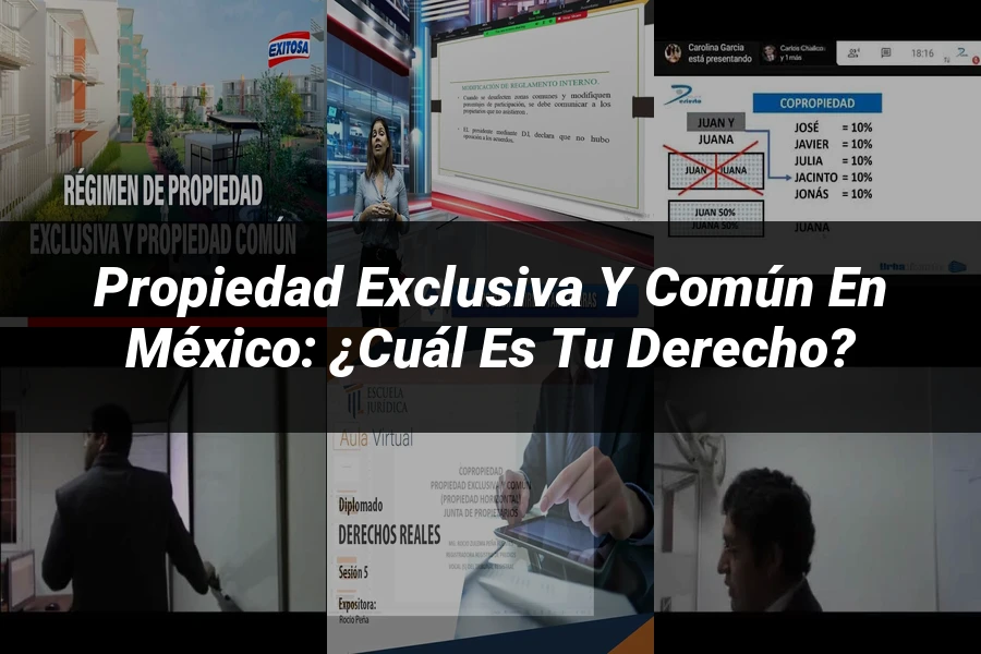 "Propiedad Exclusiva y Común en México: ¿Cuál es tu Derecho?"