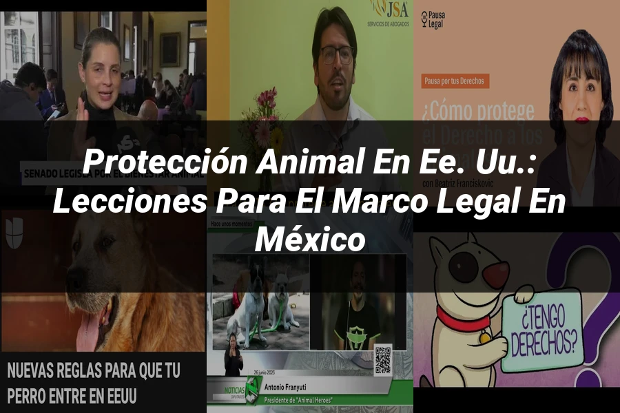 "Protección animal en EE. UU.: Lecciones para el marco legal en México"