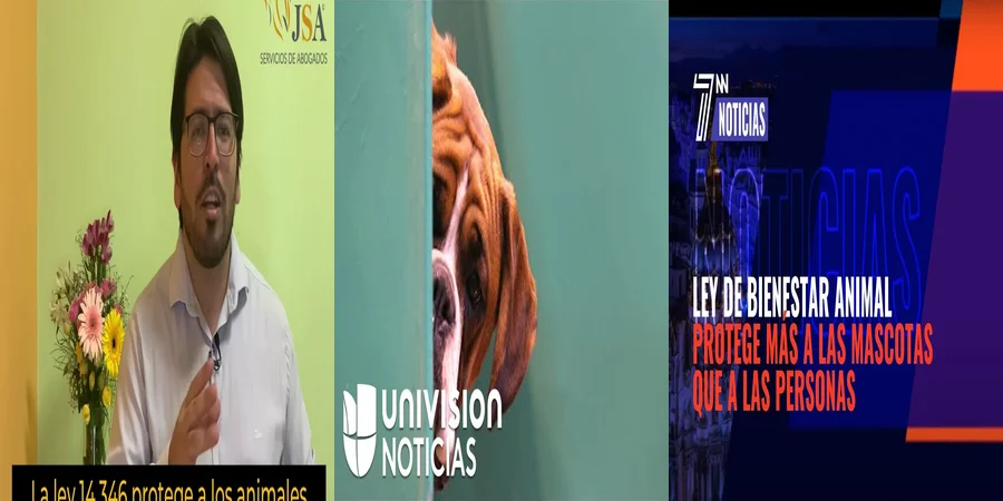 "Protección animal en EE. UU.: Lecciones para el marco legal en México"