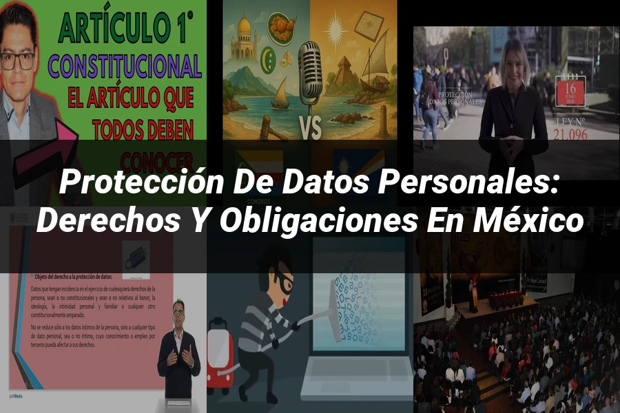 "Protección de Datos Personales: Derechos y Obligaciones en México"