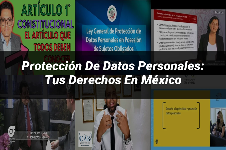 "Protección de Datos Personales: Tus Derechos en México"