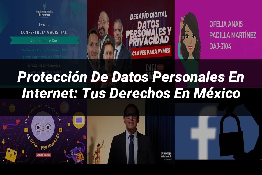 "Protección de datos personales en internet: tus derechos en México"