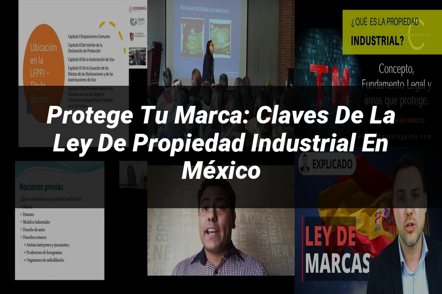 "Protege Tu Marca: Claves de la Ley de Propiedad Industrial en México"