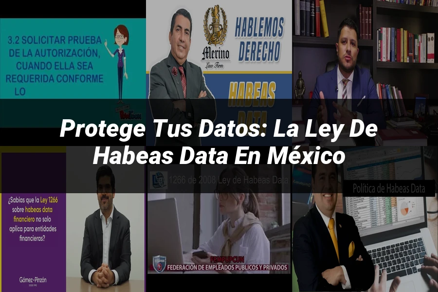 "Protege Tus Datos: La Ley de Habeas Data en México"