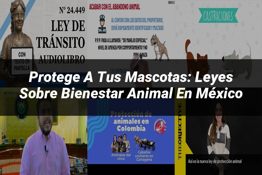 "Protege a tus Mascotas: Leyes sobre Bienestar Animal en México"
