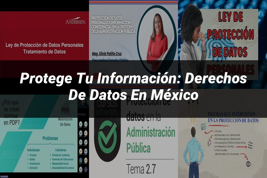 "Protege tu Información: Derechos de Datos en México"